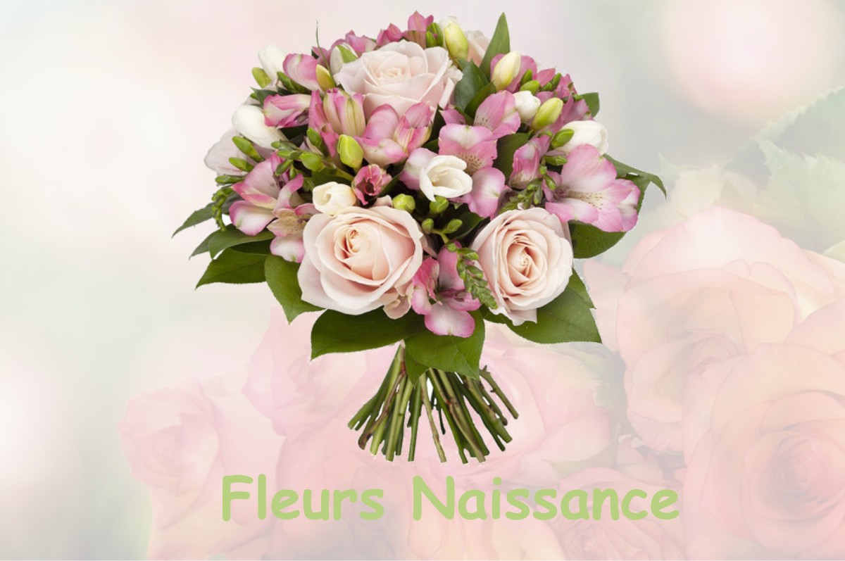 fleurs naissance LA-BASTIDE-CLAIRENCE